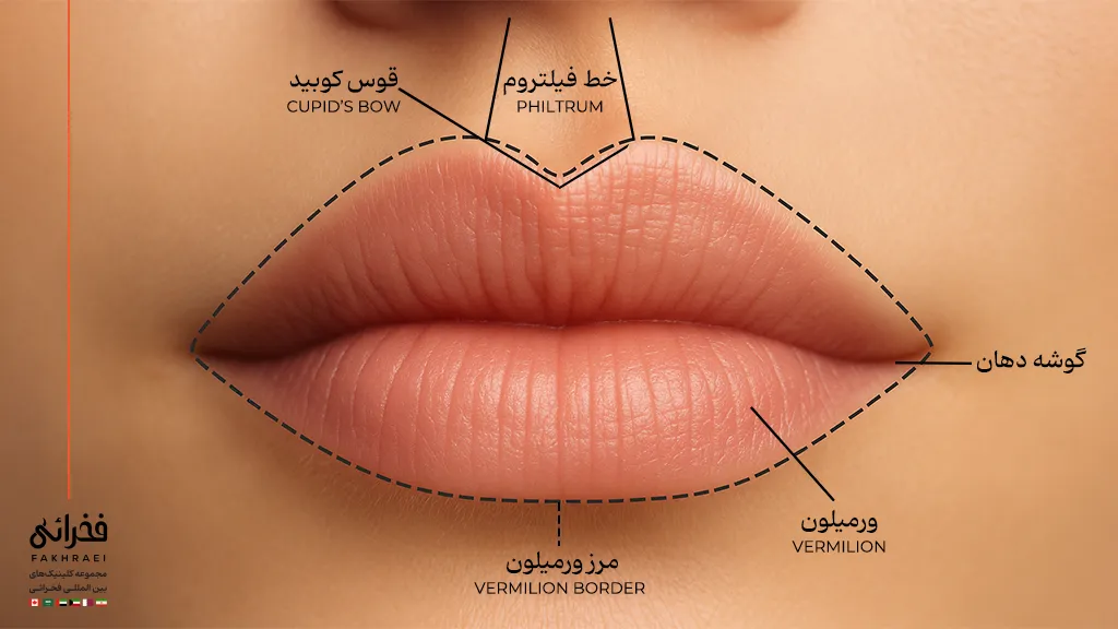 نواحی تزریق ژل لب