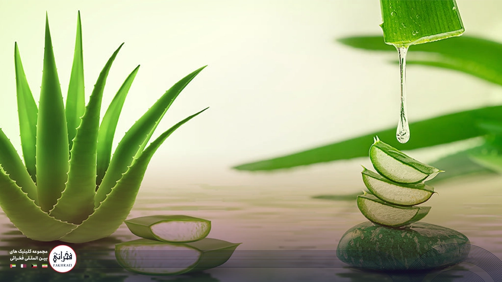 درمان‌ شوره سر با آلوئه ورا