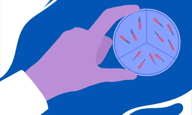 istockphoto-1443261933-612x612